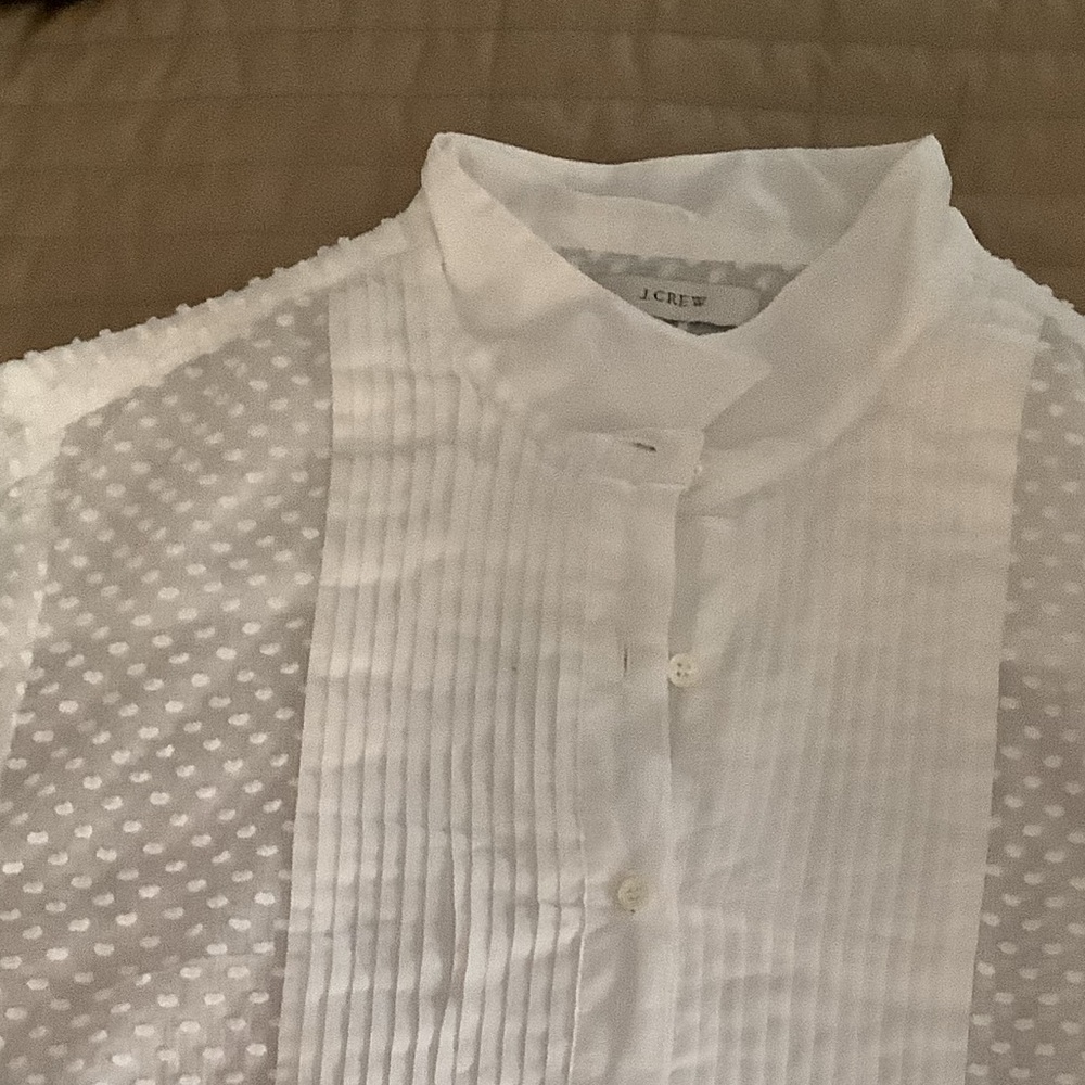 JCrew voile shirt
